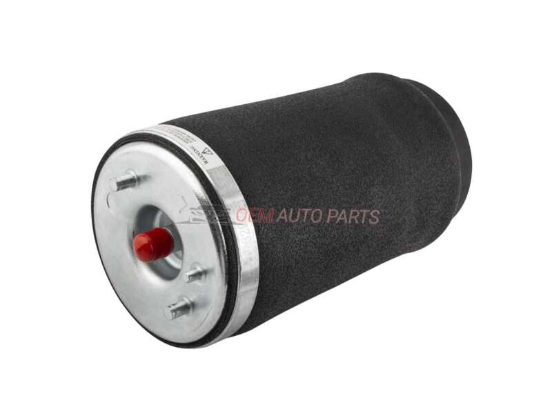 BMW X5 E53 Rear Right Air Suspension Spring