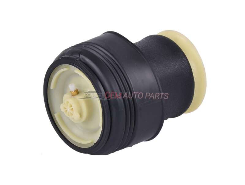 BMW X5 E70 X6 E71 E72 Rear Air Suspension Spring