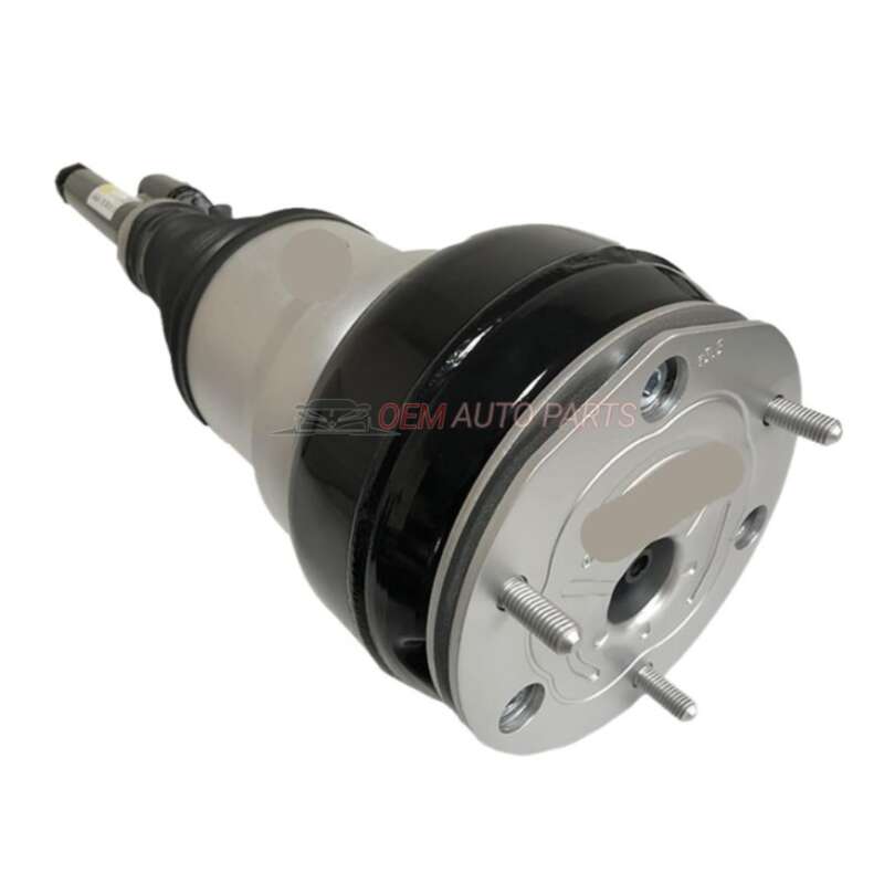 Mercedes Rear Left and Right Air Suspension Spring