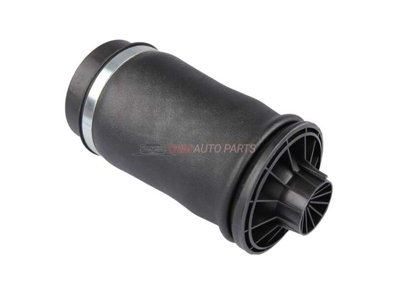 Mercedes Rear Left Right Air Suspension Spring W164 W166