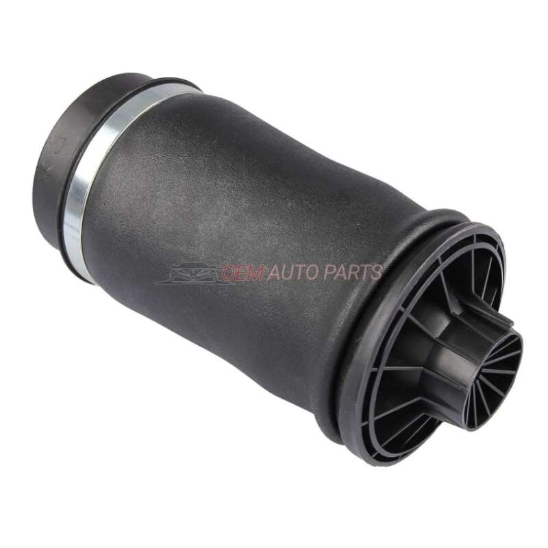 Mercedes Rear Left Right Air Suspension Spring W164 W166