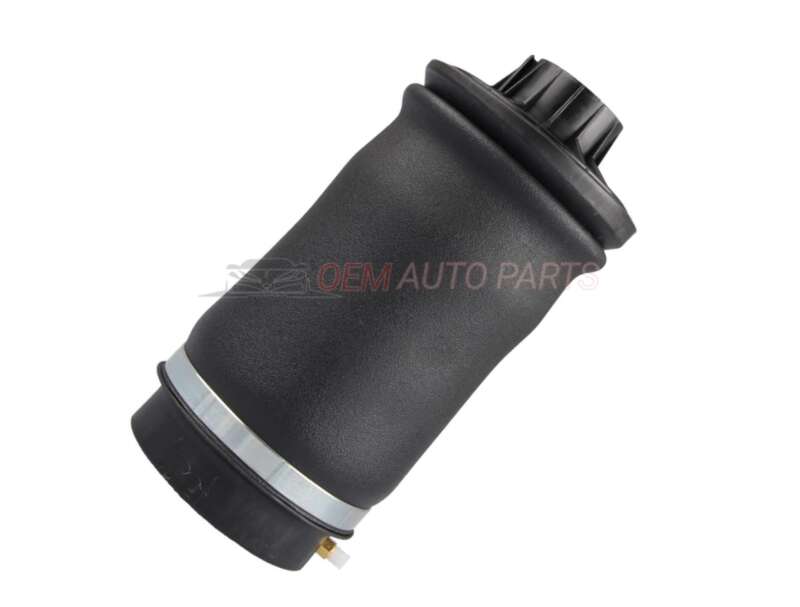 Mercedes Rear Left Right Air Suspension Spring W164_W166 - Image 4