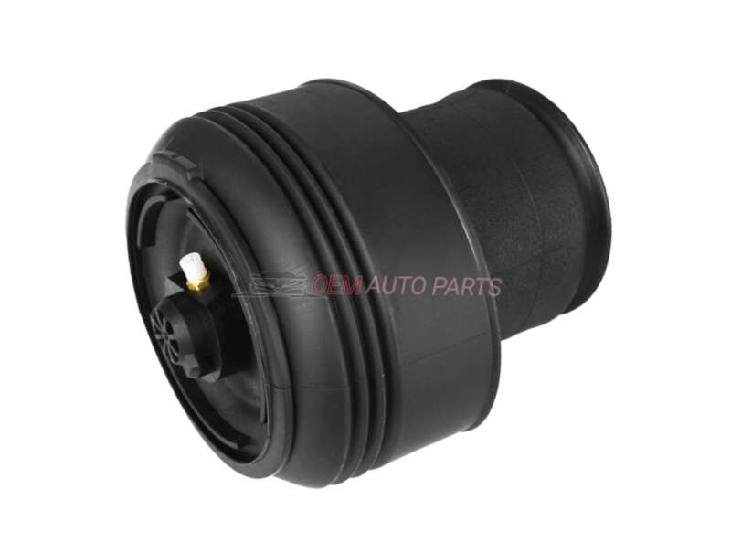 BMW X6 X5 F15 F16 Rear Air Suspension Spring